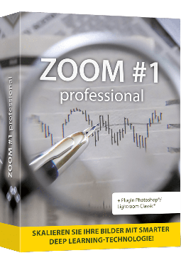ZOOM #1 professional - Bilder mit Deep-Learning hochwertig skalieren