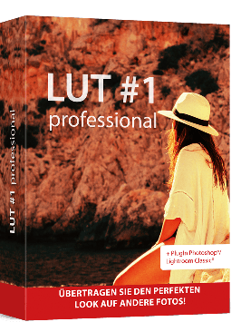 LUT #1 professional – Bildstile perfekt auf andere Fotos übertragen